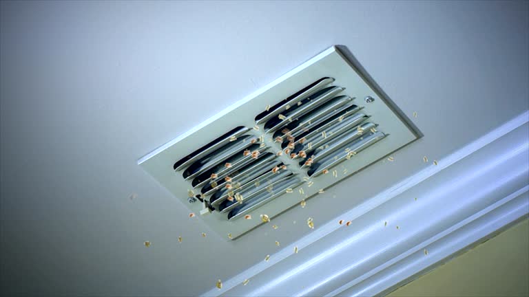 Best Best Air Duct Cleaning Company  in Accokeek, MD