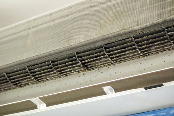 Best Commercial Air Duct Cleaning  in Accokeek, MD